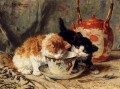 La hora del té animal gato Henriette Ronner Knip